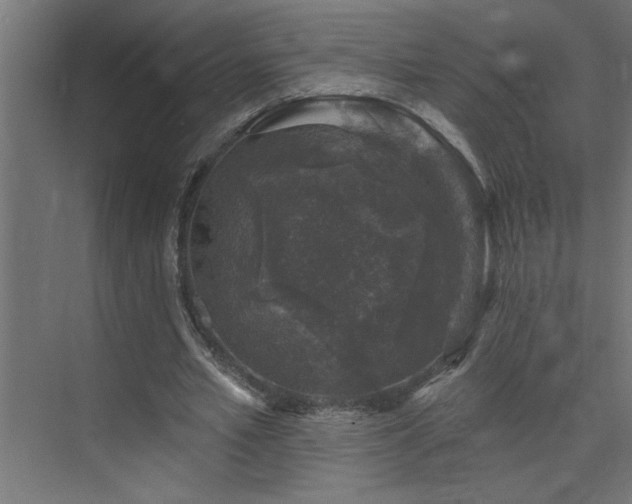 X0000074260581200608251228