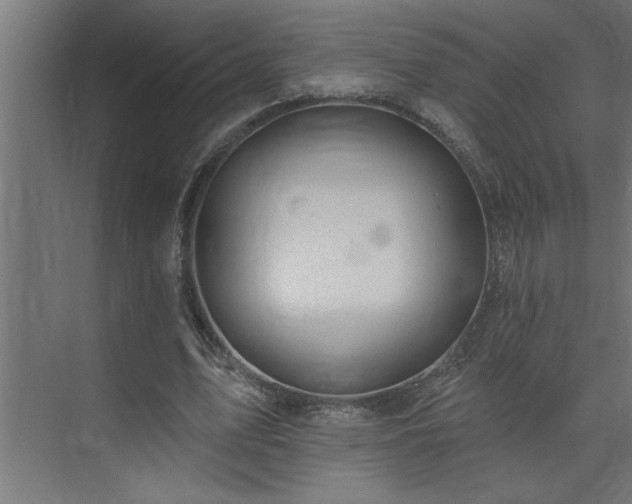 X0000074260583200608251228