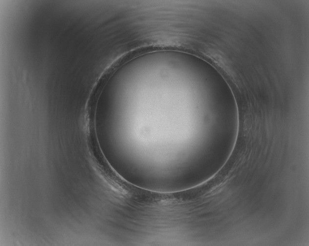 X0000074260584200608251228