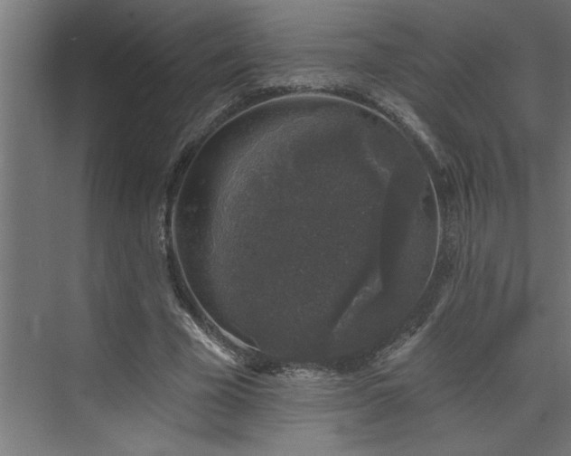 X0000074260585200608251228