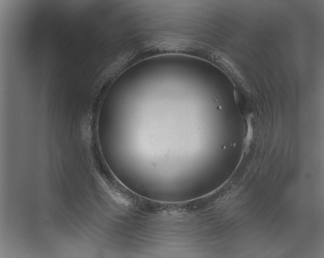 X0000074260586200608251228