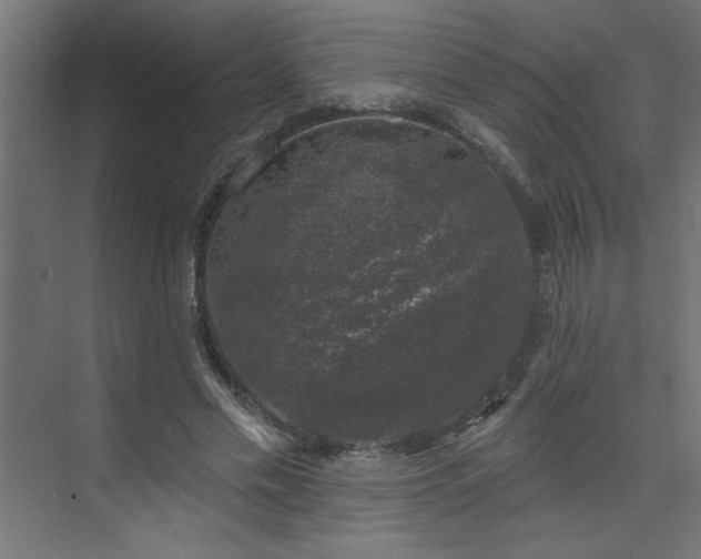 X0000074260589200608251228