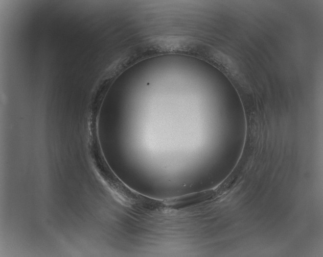 X0000074260590200608251228