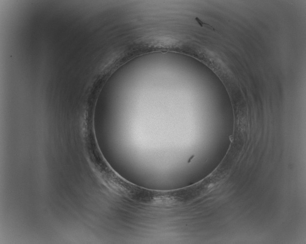 X0000074260591200608251228