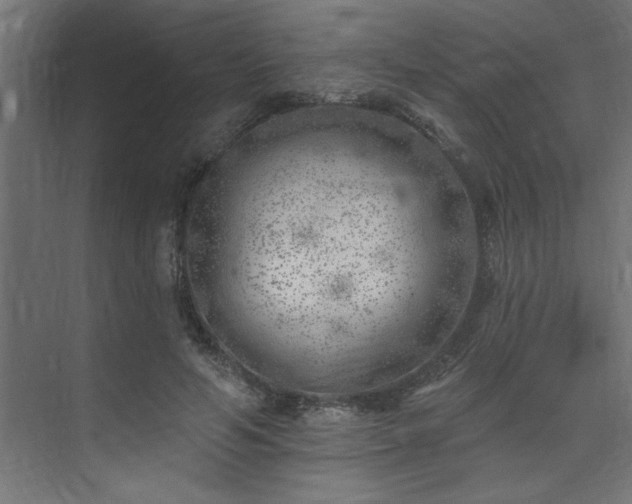 X0000074260594200608251228