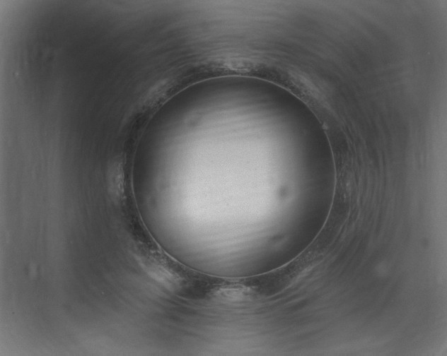 X0000074260595200608251228