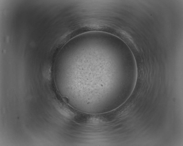 X0000074260596200608251228