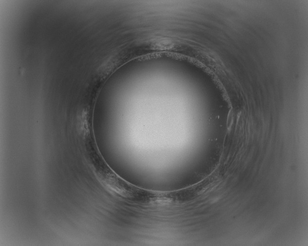 X0000074260598200608251228