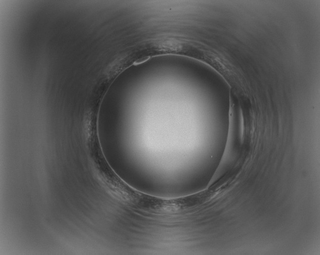 X0000074260600200608251228