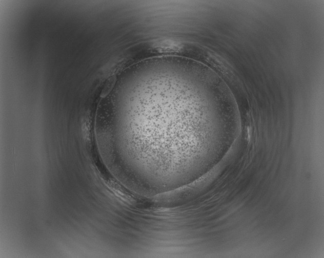 X0000074260604200608251228