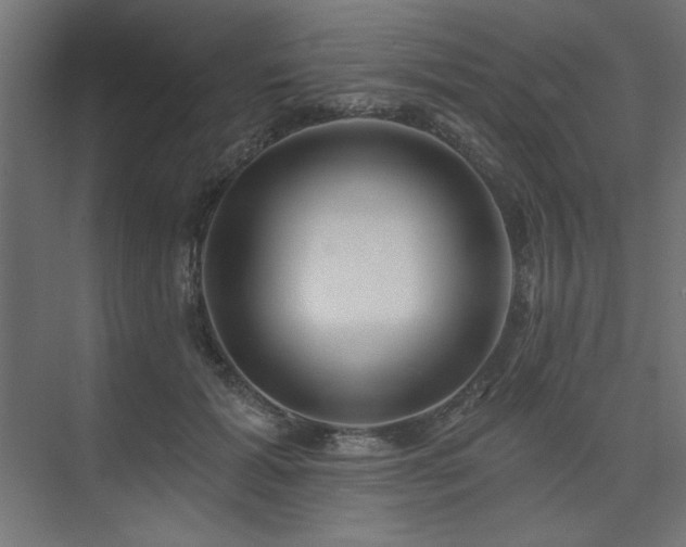 X0000074260605200608251228