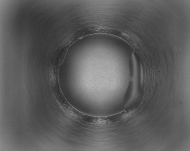 X0000074260607200608251228