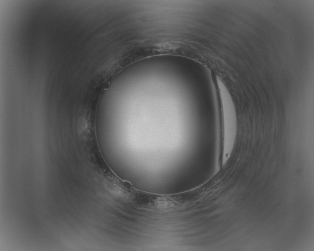 X0000074260608200608251228