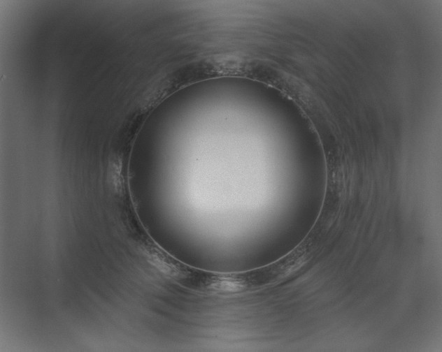 X0000074260610200608251228