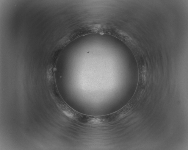 X0000074260611200608251228