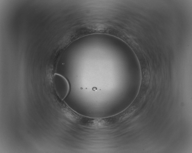 X0000074260612200608251228