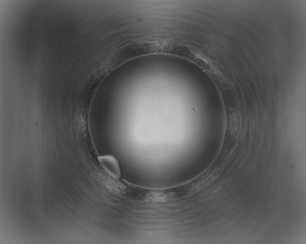 X0000074260613200608251228