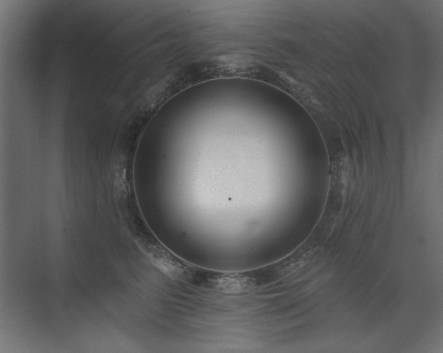 X0000074260615200608251228