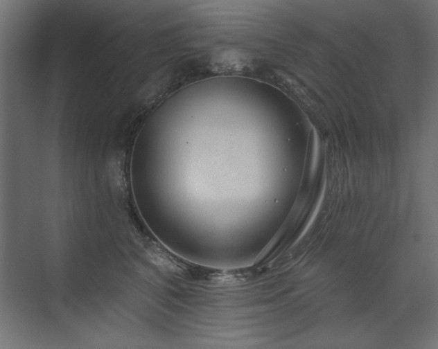 X0000074260616200608251228