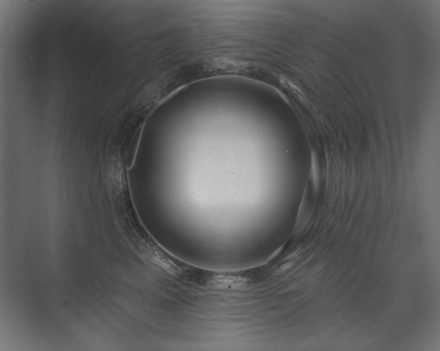 X0000074260617200608251228