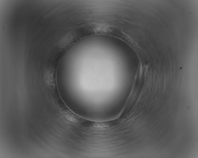 X0000074260619200608251228