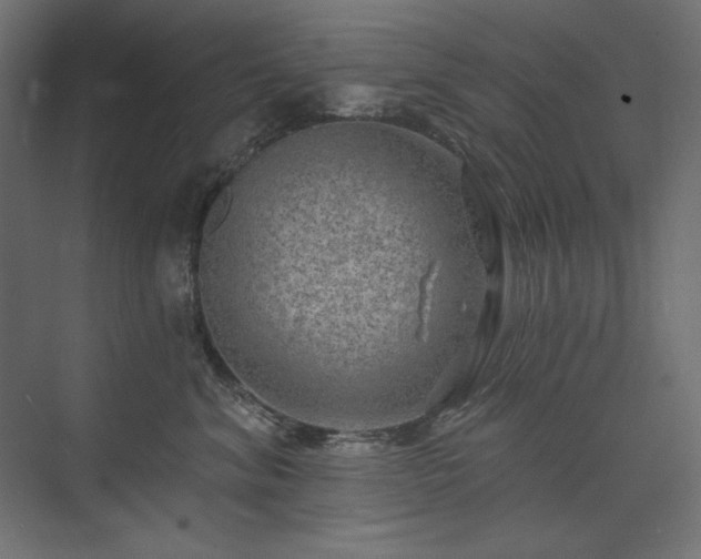 X0000074260620200608251228