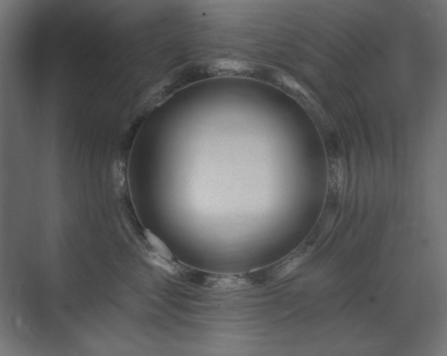 X0000074260621200608251228