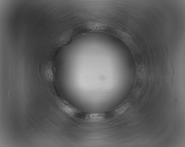 X0000074260622200608251228