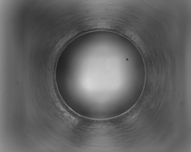 X0000074260625200608251227