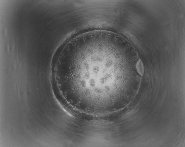 X0000074260630200608251227