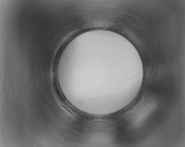 X0000074260632200608251227