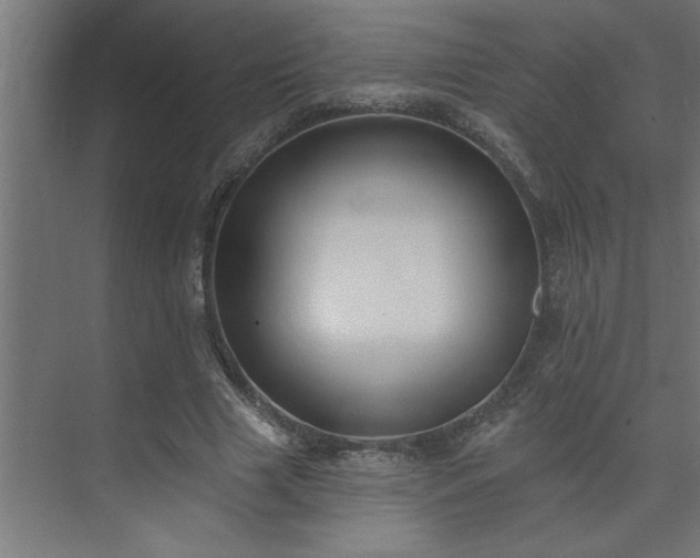 X0000074260633200608251227