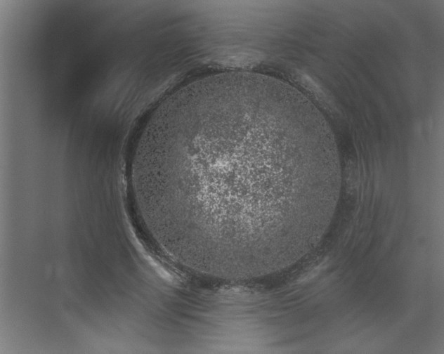 X0000074260634200608251227