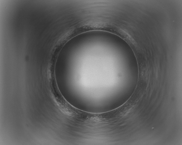 X0000074260635200608251227