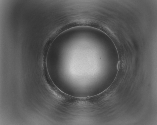 X0000074260637200608251227