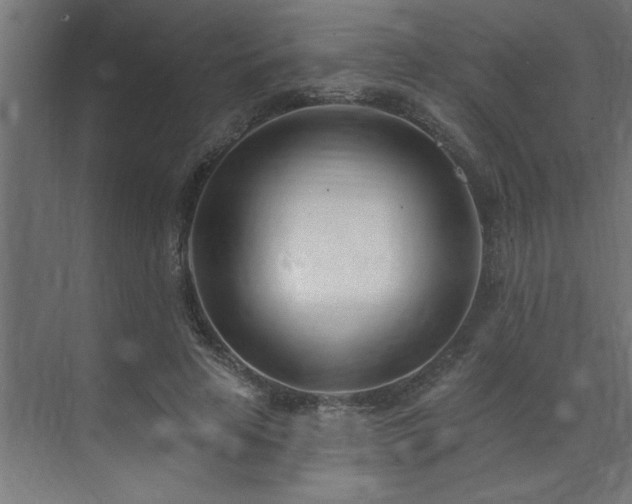 X0000074260641200608251227