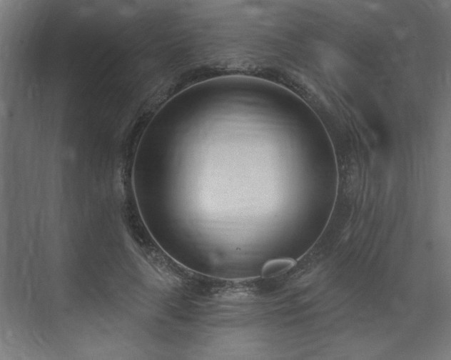 X0000074260643200608251227