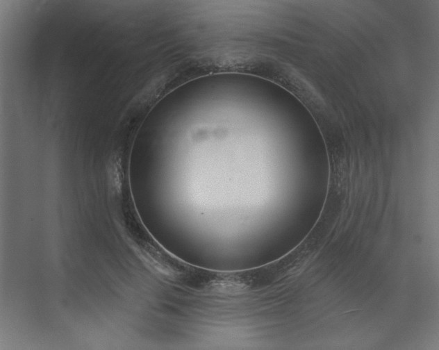 X0000074260644200608251227