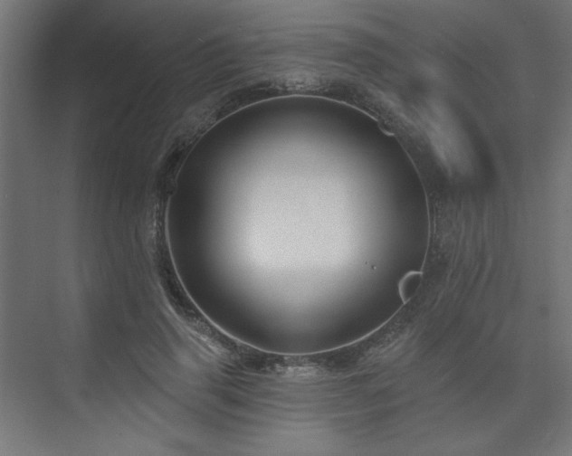 X0000074260645200608251227