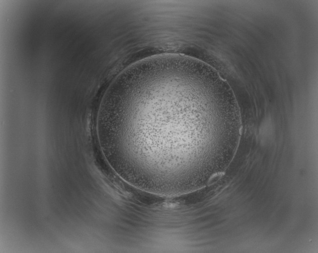 X0000074260647200608251227