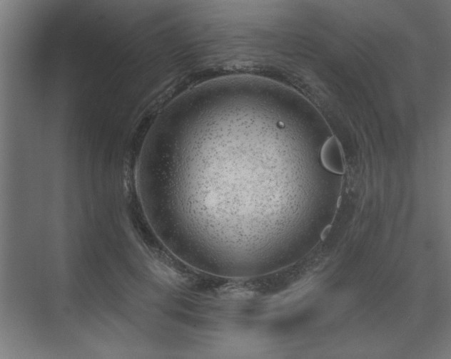 X0000074260648200608251227