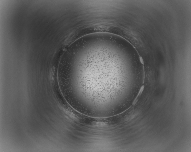 X0000074260649200608251227