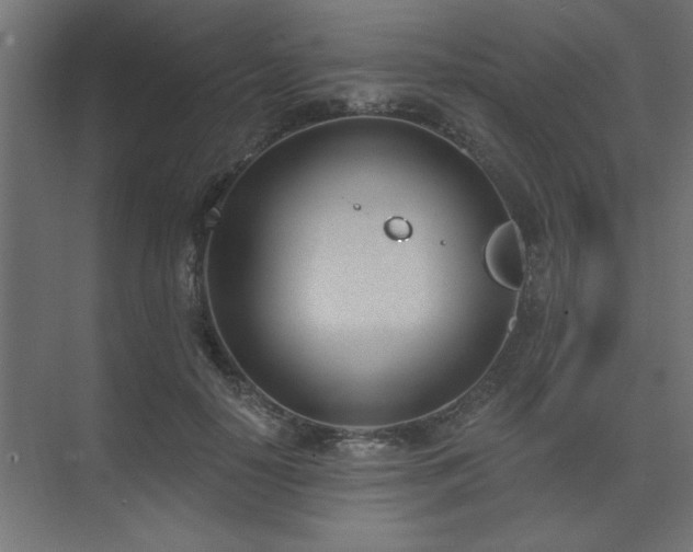 X0000074260650200608251227