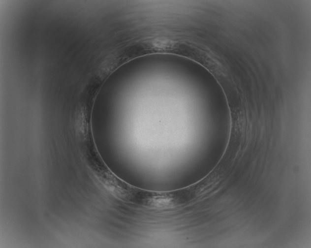 X0000074260651200608251227