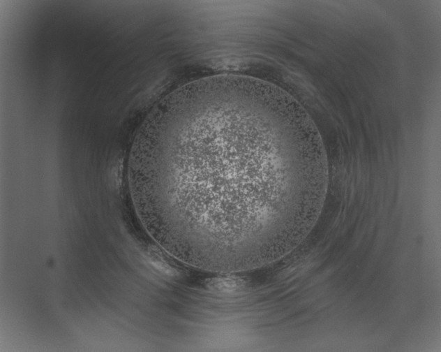 X0000074260652200608251227