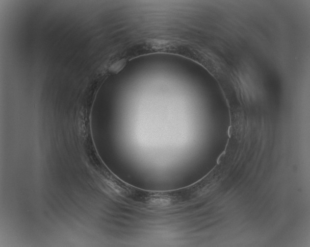 X0000074260653200608251227