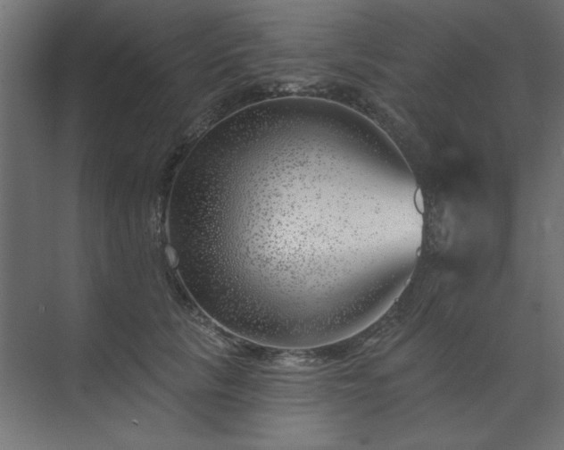 X0000074260657200608251227