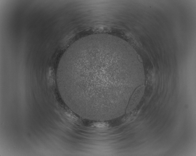 X0000074260659200608251227