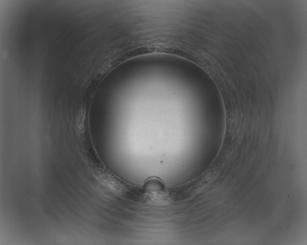 X0000074260660200608251227