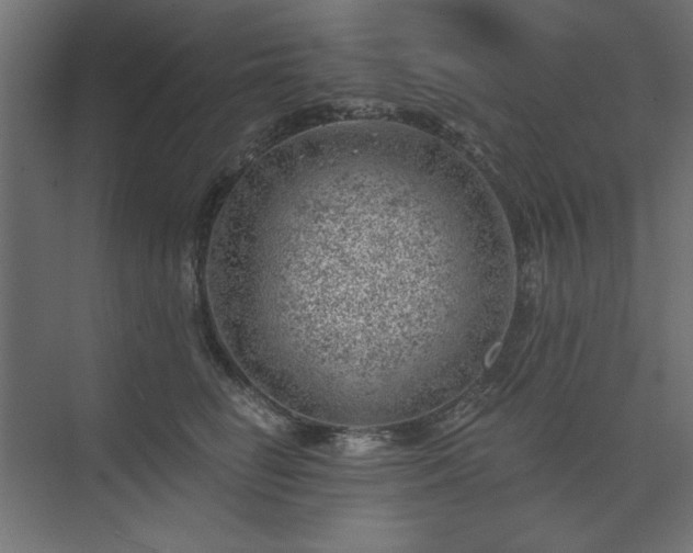 X0000074260662200608251227